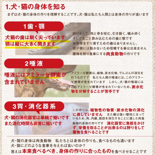 カナダ産　オリジン（ORIJEN） シニア　11.4ｋg　【国内正規品】　ドライドッグフード | ORIJEN（ペット用品） | 06