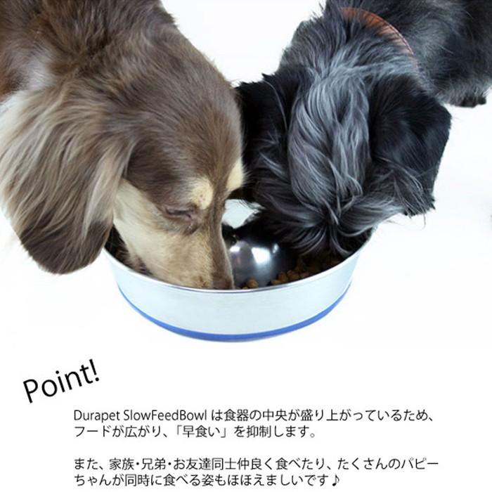 ファンタジーワールド 早食い防止に ステンレス食器 デュラペットスローフィード 19 5cm Pb 犬 猫用食器 ネコポス不可 ときめきライフ ヤフー店 通販 Yahoo ショッピング