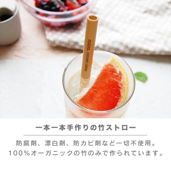 竹ストロー 5本セット 約20cm〜21cm ケース付き 洗浄ブラシ付き