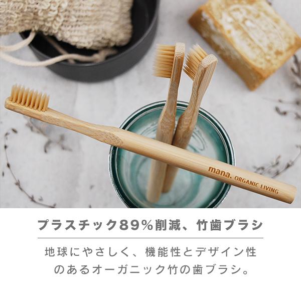 竹歯ブラシ 超極細毛 かたさ ふつう (210-32) ナイロン 大人サイズ