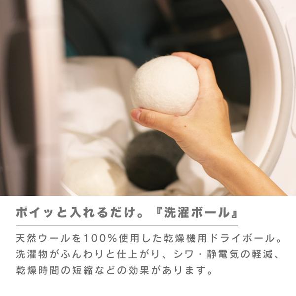 ドライボール 乾燥機用 6個セット（210-56）バッグ付き 乾燥 時短