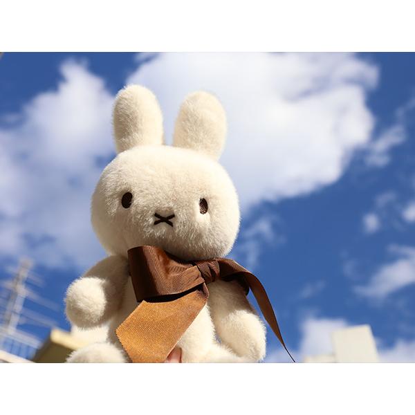 Miffy（ミッフィー） 70周年ギフトボックス ぬいぐるみ 手足が動く