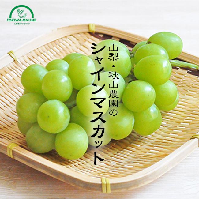 シャインマスカット 2kg 3~4房 山梨 産地直送 贈答 ギフト 早期 予約