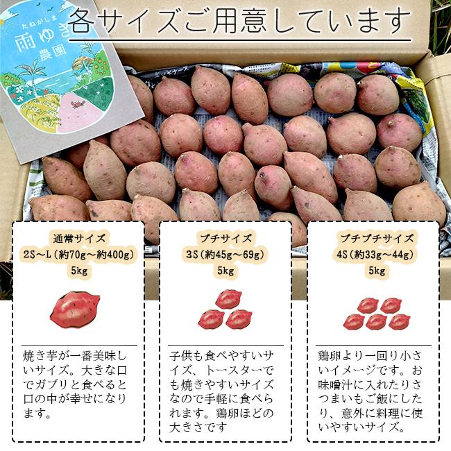 安納芋 種子島 5kg 安納こがね 4s 無農薬 送料無料 幻の芋 安納 安納芋 種子島 5kg 安納こがね 4s 無農薬 送料無料 幻の芋 安納