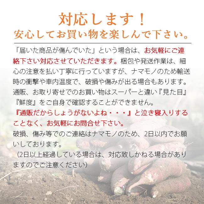 草原の薬草屋さん専用　ワケあり安納芋　17キロ 草原の薬草屋さん専用 ワケあり安納芋 17キロ 食品