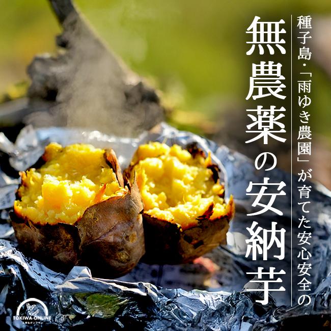 安納芋 5kg 種子島 2S〜L 安納こがね 無農薬 幻の芋 安納黄金 送料無料