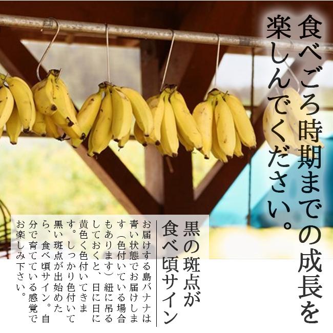 バナナ 島バナナ 国産 無農薬 2kg 石垣島 沖縄 家庭用 ponkty様