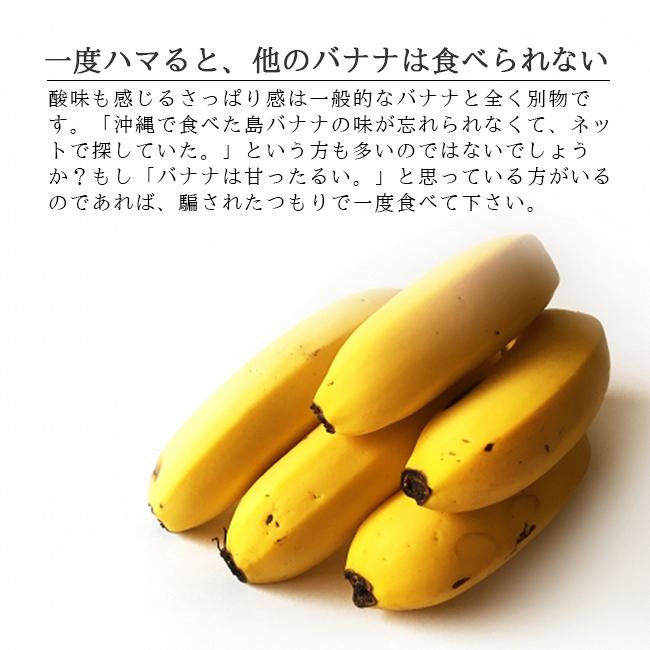 バナナ 島バナナ 国産 無農薬 2kg 石垣島 沖縄 家庭用 : 農家 バナナ 島バナナ 国産 無農薬 2kg 石垣島 沖縄 家庭用 : 農家