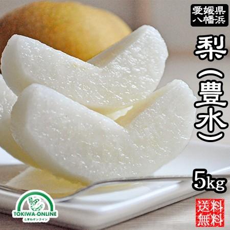梨 豊水 5kg 豊水梨 豊水 なし ナシ くだもの フルーツ 果物 愛媛 八幡浜産 Ehme Hosui 5k 果物のときわオンライン 通販 Yahoo ショッピング