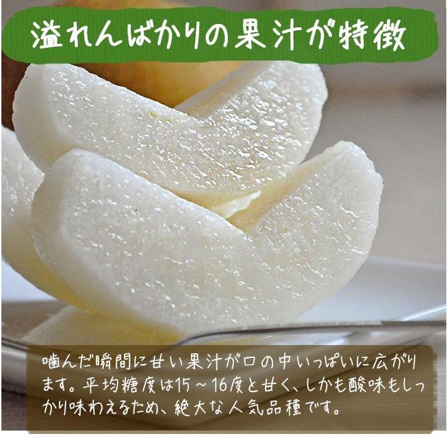 梨 豊水 5kg 豊水梨 豊水 なし ナシ くだもの フルーツ 果物 愛媛 八幡浜産 Ehme Hosui 5k 果物のときわオンライン 通販 Yahoo ショッピング