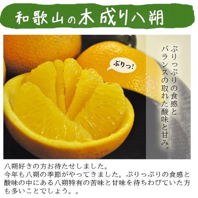 八朔 はっさく 5kg 送料無料 無農薬 ノーワックス 農園直送 木成り 有機 ポイント消化 グリーンジャンクション｜tokiwafruit｜02