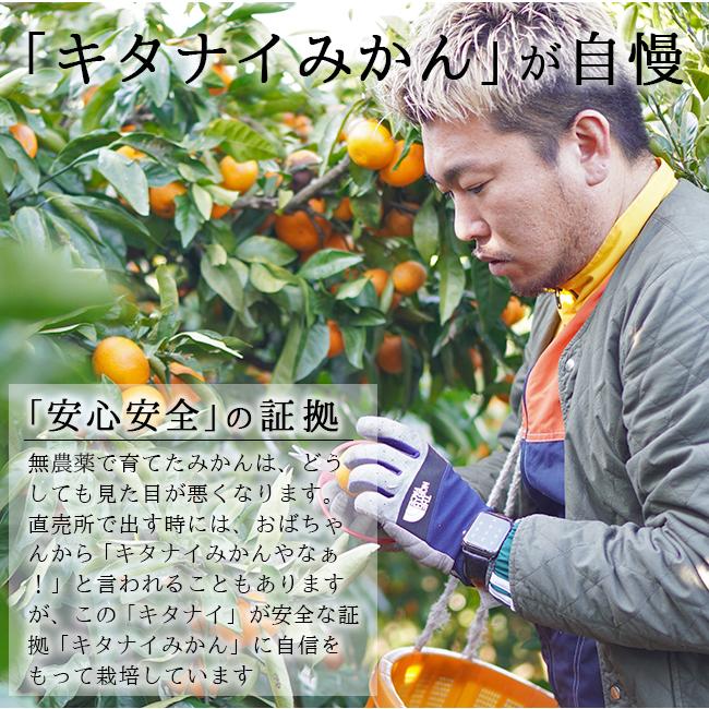 無農薬 みかん 10kg 送料無料 ミカン 和歌山 農園直送 ノーワックス
