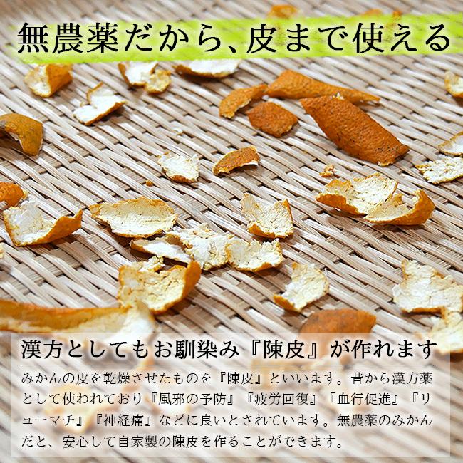 無農薬 みかん 5kg 送料無料 ミカン 和歌山 農園直送 ノーワックス