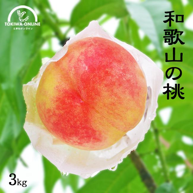 父の日 無農薬 桃 3kg 和歌山 お中元 ギフト 産地直送 御中元 贈り物 プレゼント 農園直送 白鳳 日川白鳳 川中島白鳳 もも グリーンジャンクション