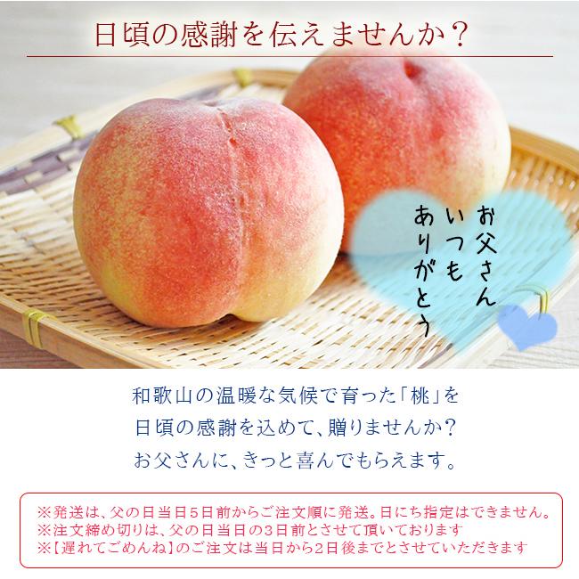 父の日 無農薬 桃 3kg 和歌山 お中元 ギフト 産地直送 御中元 贈り物 プレゼント 農園直送 白鳳 日川白鳳 川中島白鳳 もも グリーンジャンクションの画像