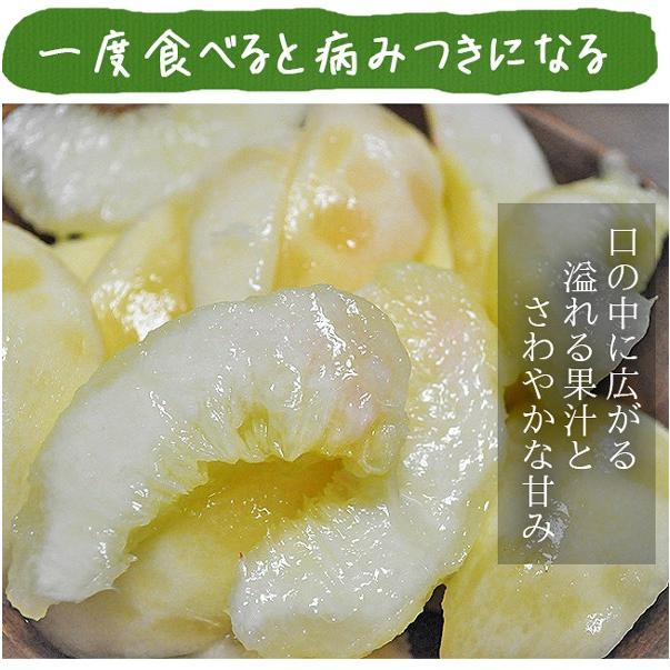 父の日 無農薬 桃 3kg 和歌山 お中元 ギフト 産地直送 御中元 贈り物 プレゼント 農園直送 白鳳 日川白鳳 川中島白鳳 もも グリーンジャンクションの画像