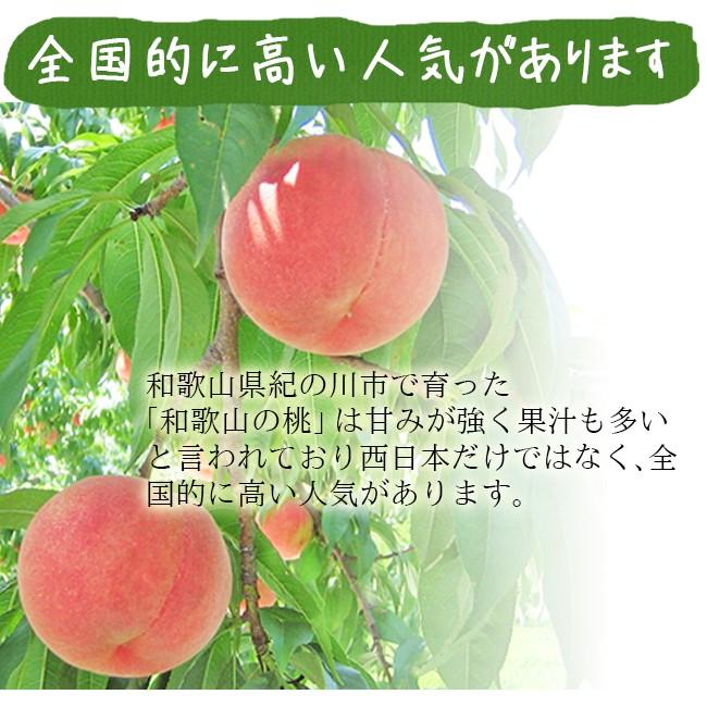 父の日 無農薬 桃 3kg 和歌山 お中元 ギフト 産地直送 御中元 贈り物 プレゼント 農園直送 白鳳 日川白鳳 川中島白鳳 もも グリーンジャンクションの画像