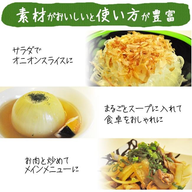 あわざ玉ねぎ 20キロ 楽天市場】訳あり 玉ねぎ 20kgの通販