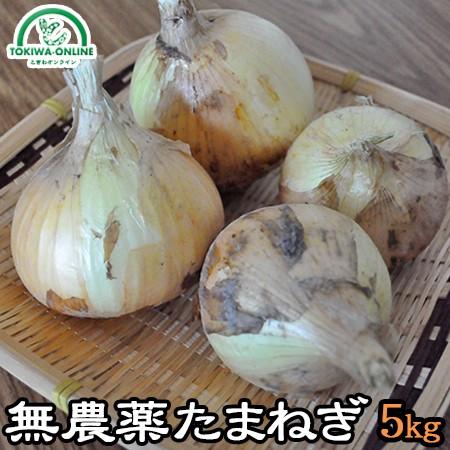 たまねぎ　5個 9511a65a44e0fb79006ca358c0c13c