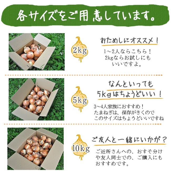 たまねぎ　5個 9511a65a44e0fb79006ca358c0c13c