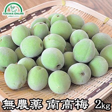 青梅 南高梅 無農薬 梅 2kg 送料無料 梅酒 梅シロップ 梅干し 青梅 南高梅 無農薬 梅 2kg 送料無料 梅酒 梅シロップ 梅干し