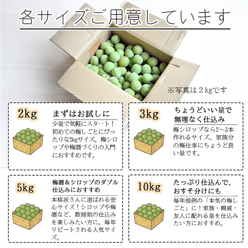 青梅 南高梅 無農薬 梅 2kg 送料無料 梅酒 梅シロップ 梅干し