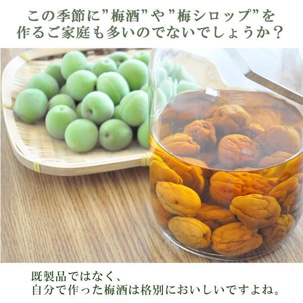 青梅 南高梅 無農薬 梅 2kg 送料無料 梅酒 梅シロップ 梅干し 梅酢 梅