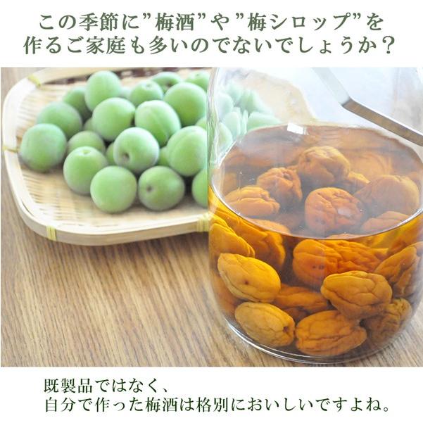 青梅 南高梅 無農薬 梅 5kg 送料無料 梅酒 梅シロップ 梅酢 梅仕事