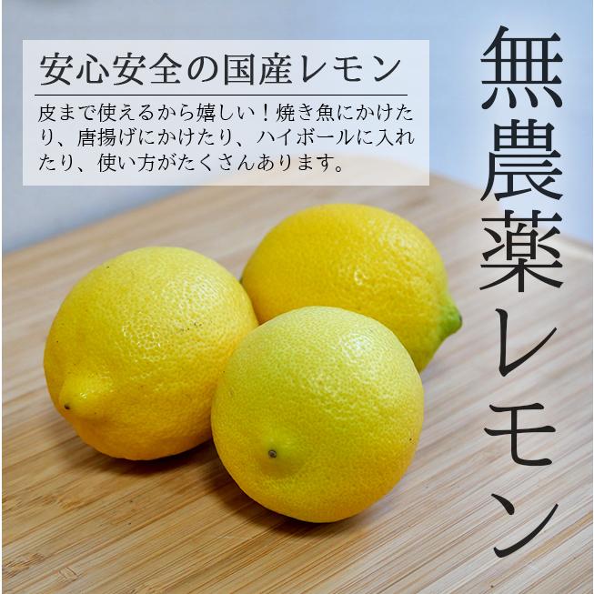 無農薬 レモン 国産 10kg 送料無料 黄色レモン ノーワックス 無農薬 レモン 国産 10kg 送料無料 黄色レモン ノーワックス
