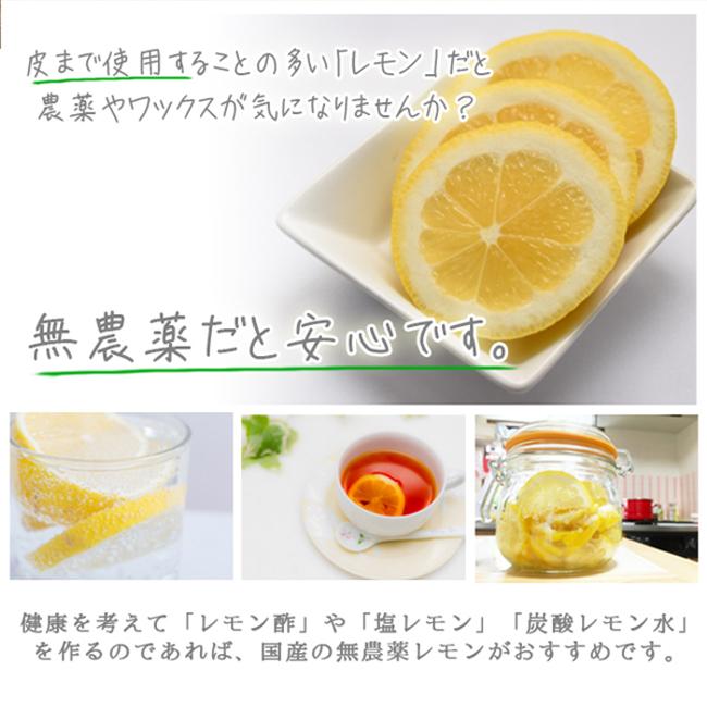 無農薬 レモン 国産 10kg 送料無料 黄色レモン ノーワックス 無農薬 レモン 国産 10kg 送料無料 黄色レモン ノーワックス