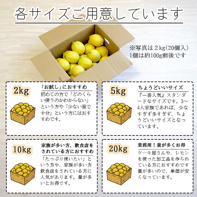 無農薬 レモン 国産 10kg 送料無料 黄色レモン ノーワックス 無農薬 レモン 国産 10kg 送料無料 黄色レモン ノーワックス
