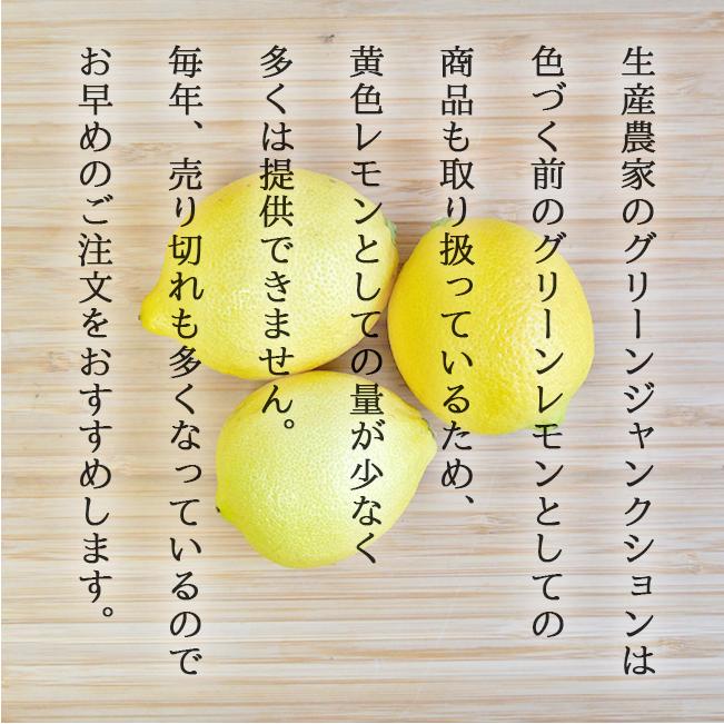 無農薬 レモン 国産 10kg 送料無料 黄色レモン ノーワックス 無農薬 レモン 国産 10kg 送料無料 黄色レモン ノーワックス