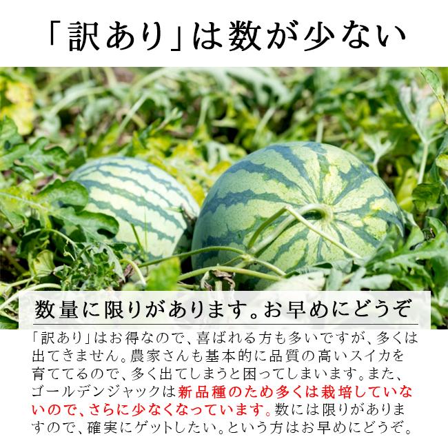★２０２５年新品種★ゴールデンジャック２玉入り　秀品　高級品種　すいか　青森県産 ☆2025年新品種☆ ゴールデンジャック 2玉入り 秀品 高級