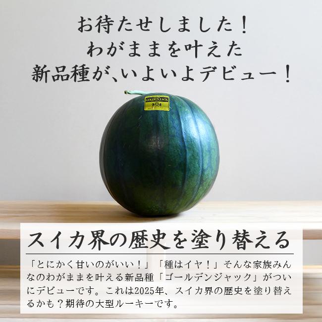 訳ありゴールデン・ジャックすいか２Ｌサイズ２個入り 訳あり 尾花沢 スイカ 種なし ゴールデンジャック 大玉 2L 6kg