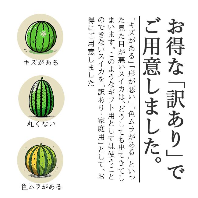 訳あり 尾花沢 スイカ 種なし ゴールデンジャック 大玉 2L 6kg 山形