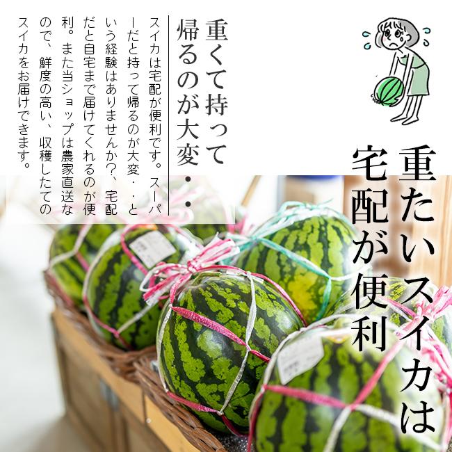 訳あり 尾花沢 スイカ 種なし ゴールデンジャック 大玉 3L 7kg 山形