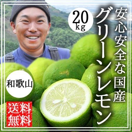 大梅8KG、広島県産、家庭用、産地直送、農薬不使用、防腐剤不使用、サイズ混合 ワックス/防腐剤不使用 ジューシー香り抜群！広島大長産レモン