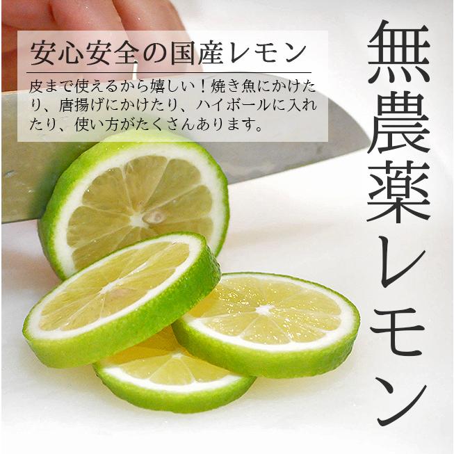 レモン 無農薬 国産 20kg 送料無料 グリーンレモン 青レモン 無
