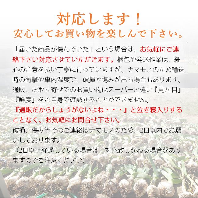 ジャンボにんにく 2kg  無農薬 匂いが少ない 無臭にんにく 長崎 平戸 しげさん農園｜tokiwafruit｜10