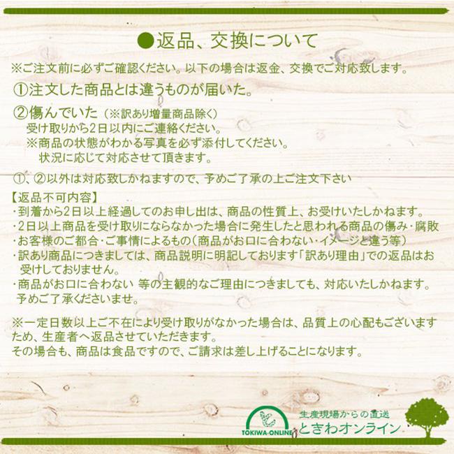 ジャンボにんにく 5kg  無農薬 匂いが少ない 無臭にんにく 長崎 平戸 しげさん農園｜tokiwafruit｜12