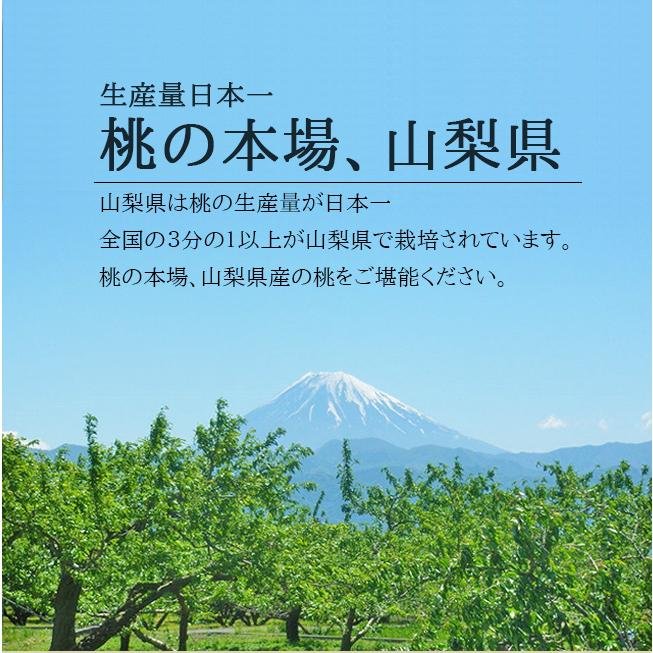 桃 訳あり 2kg 家庭用 山梨 アルプス美人 なつっこ 産直 産地直送 送料