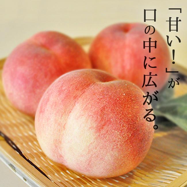 桃 訳あり 2kg 家庭用 山梨 アルプス美人 なつっこ 産直 産地直送 送料