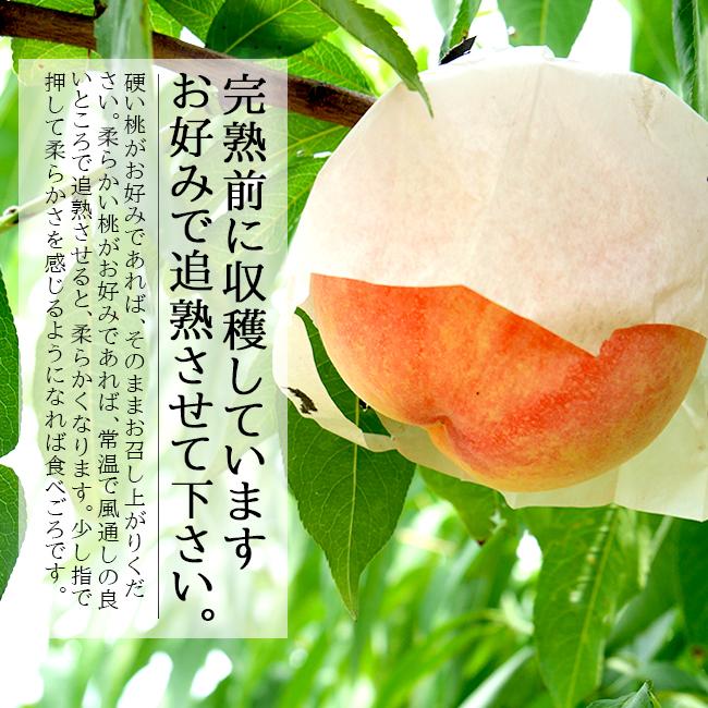 桃 訳あり 2kg 家庭用 山梨 アルプス美人 なつっこ 産直 産地直送 送料