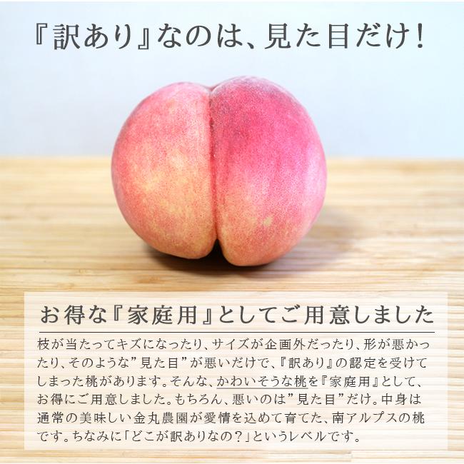 桃 訳あり 2kg 家庭用 山梨 アルプス美人 なつっこ 産直 産地直送 送料