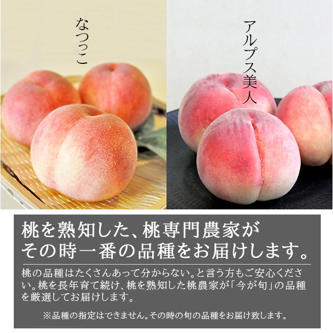桃 訳あり 2kg 家庭用 山梨 アルプス美人 なつっこ 産直 産地直送 送料