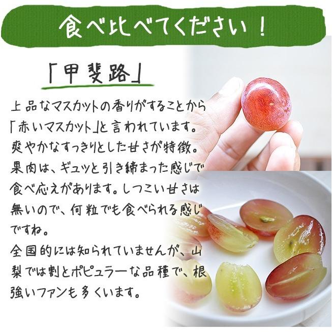 甲斐路 シャインマスカット 抱き合わせ 2房入り 約1kg 送料無料 種なし