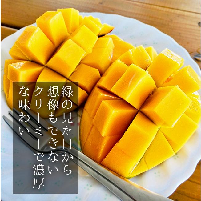 訳あり沖縄マンゴー 2kg 4,980円 そろそろ収穫終了です‼️ キーツマンゴー 訳あり 2kg 沖縄 送料無料 石垣島 農園直送 沖縄