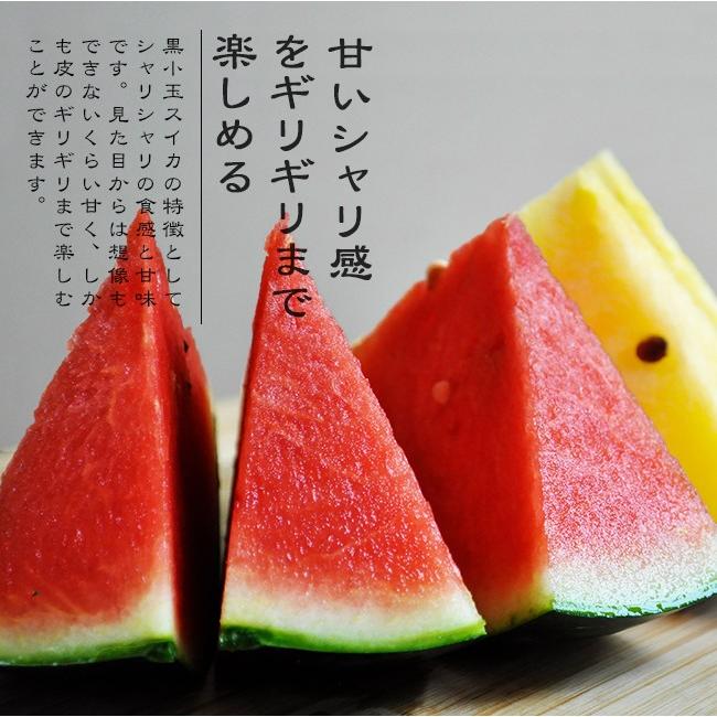 お中元 スイカ 2玉入 6kg 小玉 黒小玉 熊本 御中元 父の日