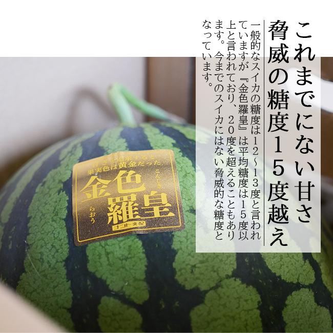 スイカ 金色羅皇 こんじきらおう ギフト プレゼント 熊本 送料無料