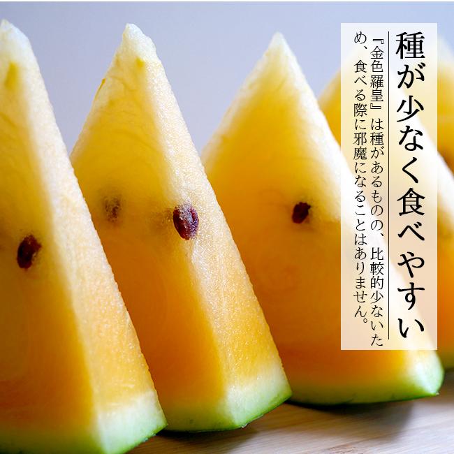 スイカ 金色羅皇 こんじきらおう ギフト プレゼント 熊本 送料無料